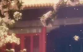 中国人保携手金华市福达汽车购车嘉年华